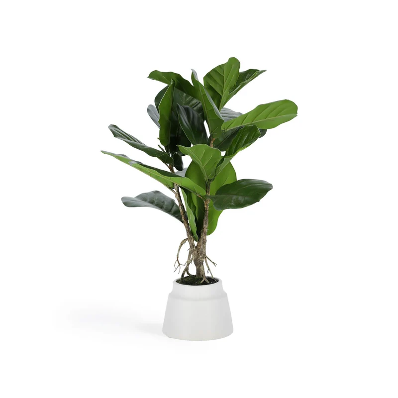 Lyrata artificial plant 60 cm
