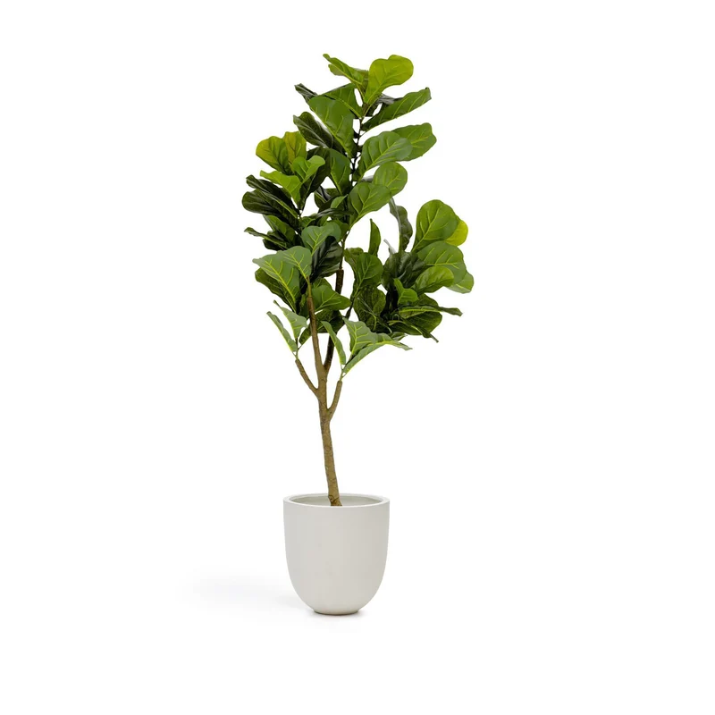 Ficus artificial 150 cm