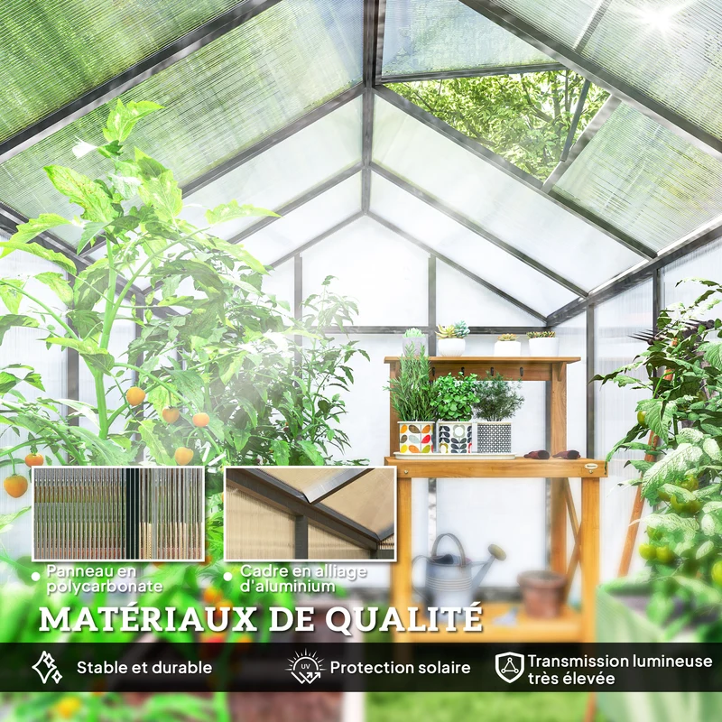 Serre de jardin 303 x 183 x 195 cm ventilation réglable double paroi anti uv moderne épuré en polycarbonate transparent 21_0004123