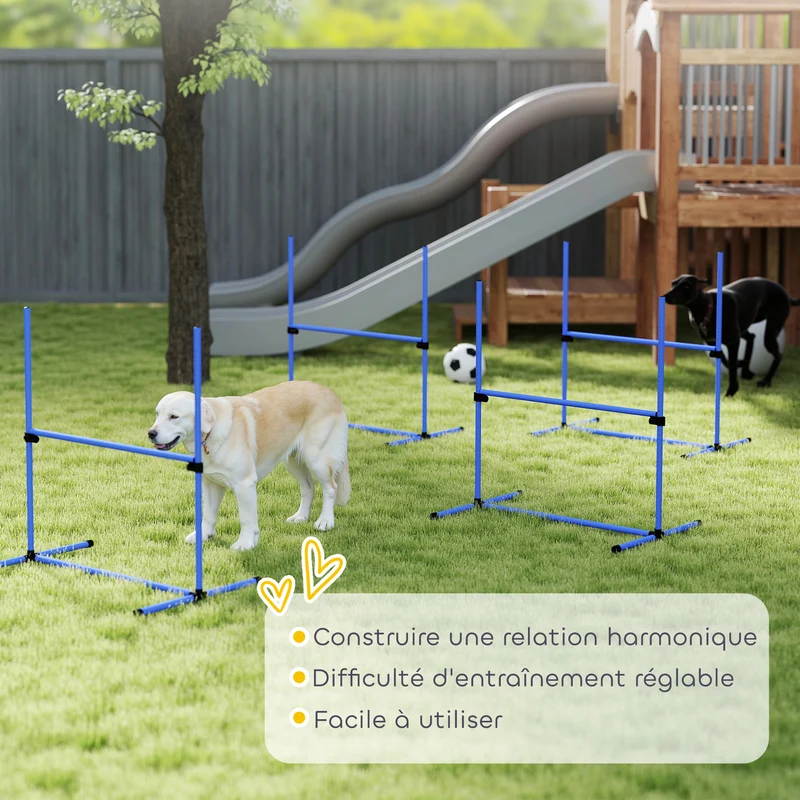 Lot de 4 obstacles d'agilité pour chiens 99 x 65 x 94 cm hauteur réglable montage rapide moderne en polyéthylène bleu 21_0007514