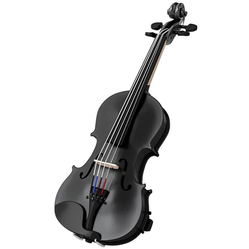 Violon 4/4 ensemble débutants 60 x 21 x 7 cm son chaleureux étui léger transportable finition classique en bois noir 21_0008055
