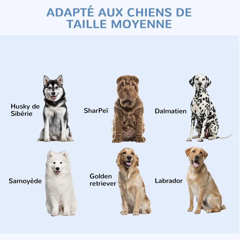 Cage de transport pliable pour chien 121 x 77 x 82 cm 2 portes sécurisées plateau amovible moderne épuré en acier noir 21_0007206