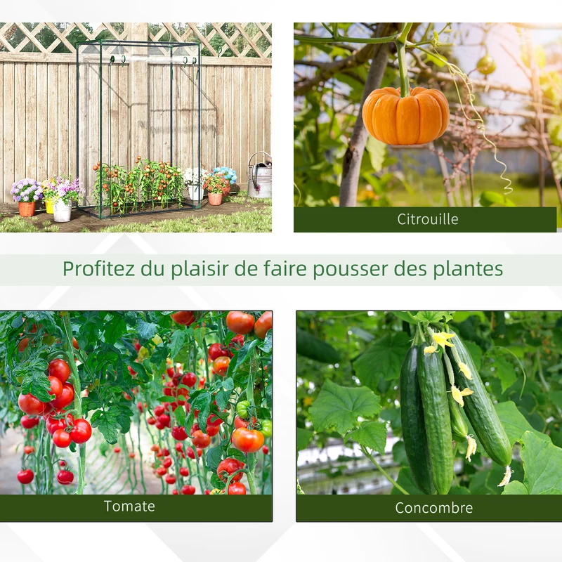 Serre de jardin pour légumes 100 x 50 x 150 cm protection anti-uv porte zippée style moderne épuré en PVC transparent 21_0004171