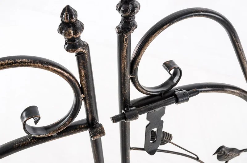 Arche de jardin en fer bronze avec portail – Arche à rosiers décorative treillis pour plantes grimpantes fixation au sol 10_0008926