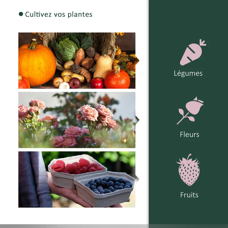 Serre de jardin pour tomates 200 x 100 x 80 cm protège du gel et des insectes porte zippée contemporain épuré en pe vert 21_0004139