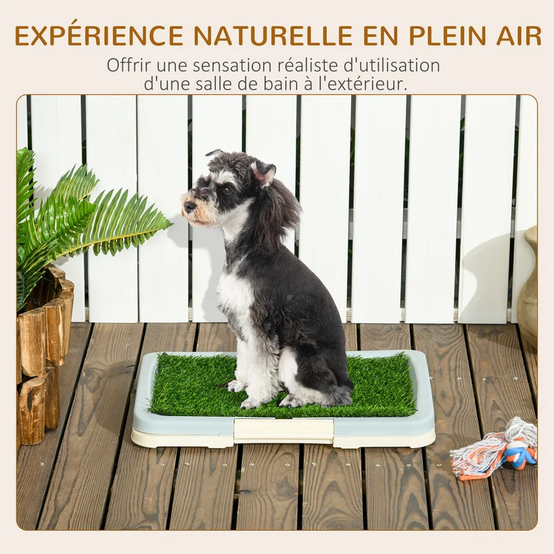 Toilette pour chien plateau portable 46,5 x 34 x 5,5 cm facile à nettoyer antidérapant design contemporain en PP vert 21_0007521