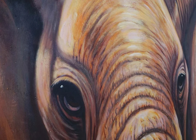 Tableau éléphant gros plan 120 x 100 cm peinture à l’huile sur toile œuvre murale faite main cadre bois naturel 04_0011412