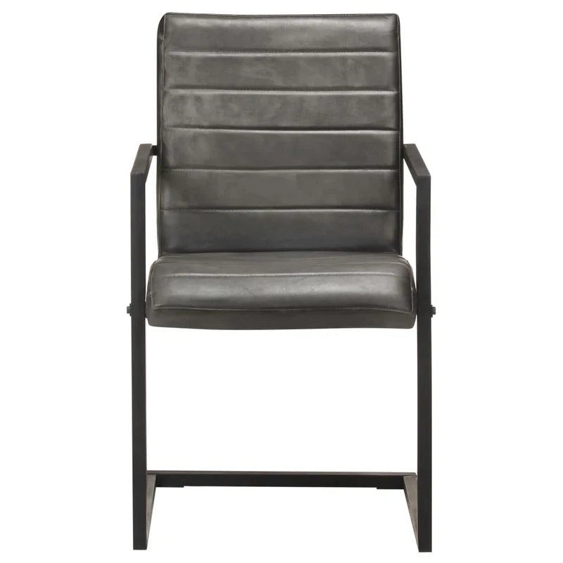 Lot de 2 chaises de salle à manger cuisine cantilever design rétro cuir véritable gris CDS020323