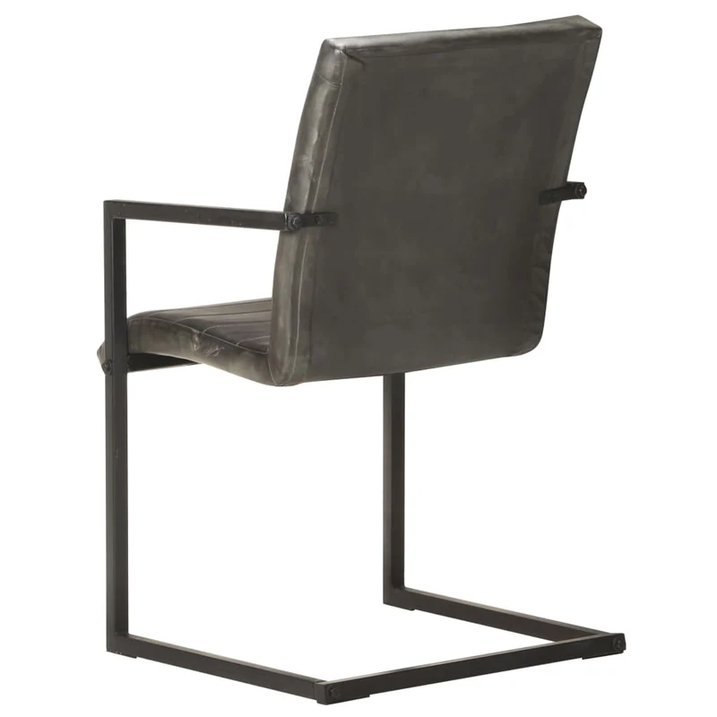 Lot de 2 chaises de salle à manger cuisine cantilever design rétro cuir véritable gris CDS020323