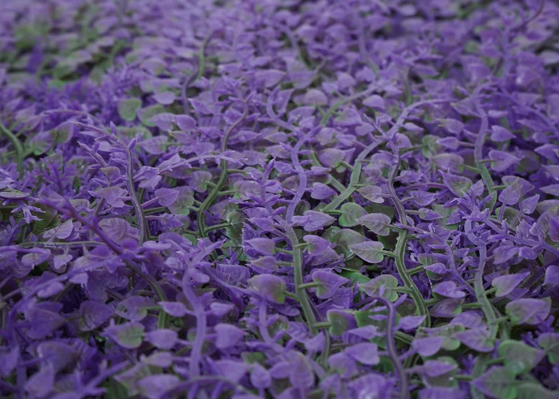 Mur végétal artificiel décoratif intérieur extérieur lot de 4 panneaux plantes 50x50 cm feuillage vert et violet 1 m² 04_0009172