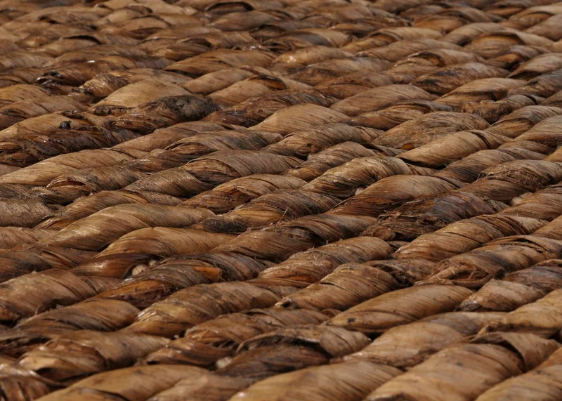 Lot de 2 chaises de salle à manger en tressage de feuilles de bananier pieds en acajou avec coussins 04_0011571