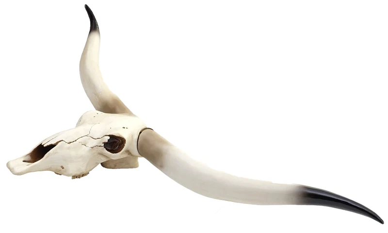 Déco crâne de vache tête de taureau trophée longhorn mural en polyrésine 103x43x11cm 04_0002819
