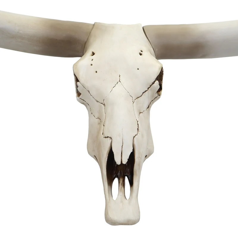 Déco crâne de vache tête de taureau trophée longhorn mural en polyrésine 103x43x11cm 04_0002819