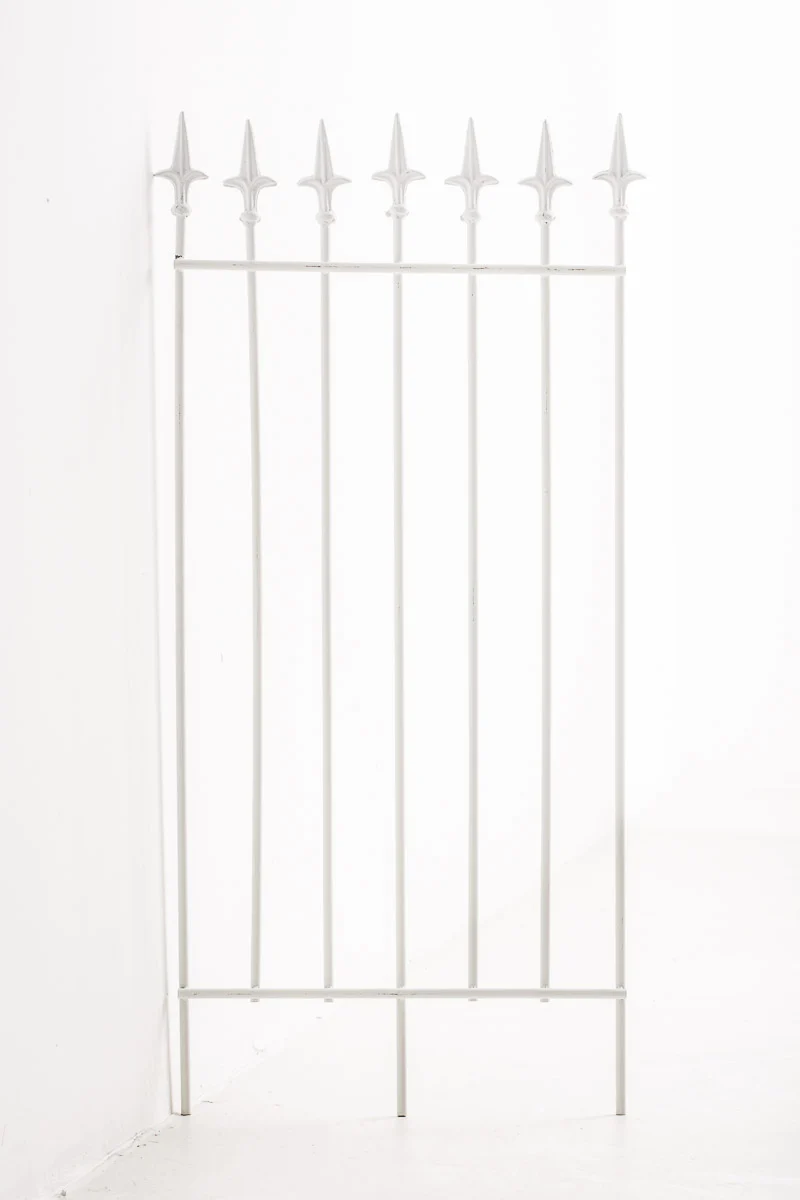 Treillis support pour plantes grimpantes à plante décoration de jardin 100 × 50 cm en métal blanc 10_0008922