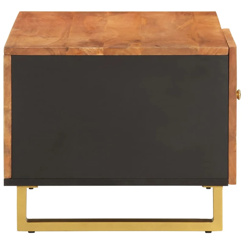 Table basse design tropical et 80 x 50 x 40 cm bois de massif manguier MDF et fer DEC039449