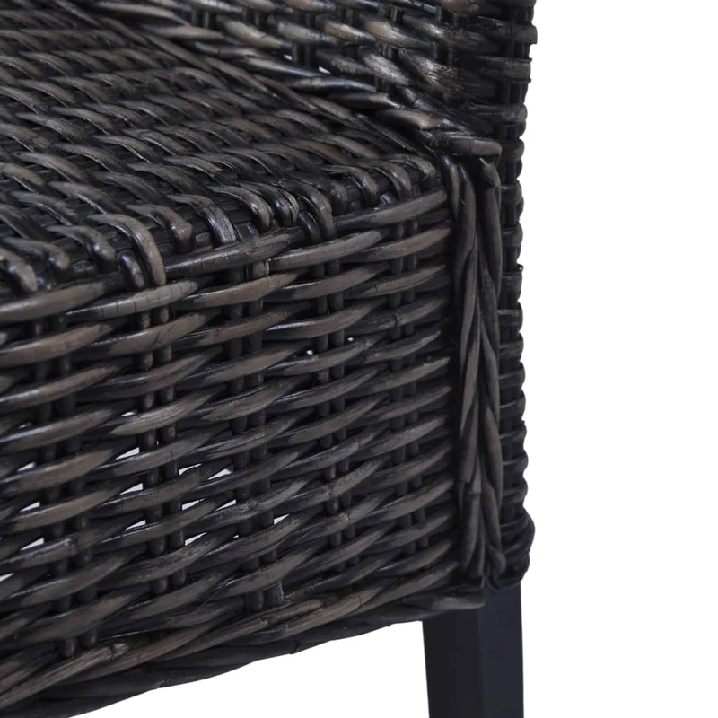 Lot de 2 chaises de salle à manger cuisine noir Rotin kubu et bois de manguier CDS020810