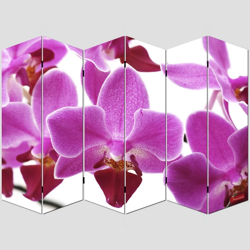 Paravent 6 panneaux pans séparateur de pièce 180x240cm motif orchidee PAR04008