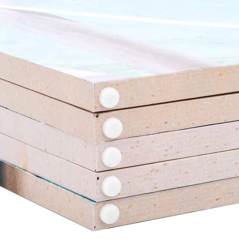 Paravent séparateur de pièce cloison pliable 200 x 170 cm design plage en bois de sapin DEC031171