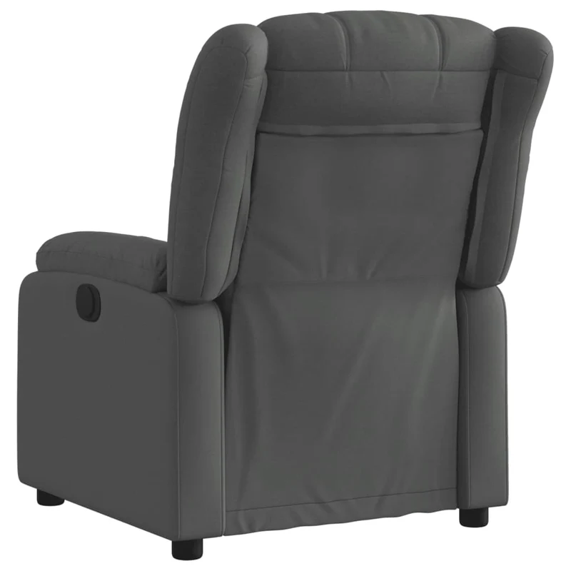 Fauteuil relax TV rembourrage confortable fonction d'inclinaison manuelle en tissu gris foncé DEC027937