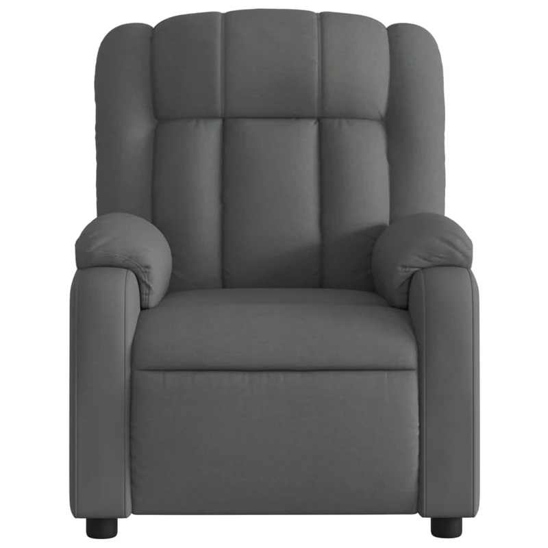 Fauteuil relax TV rembourrage confortable fonction d'inclinaison manuelle en tissu gris foncé DEC027937