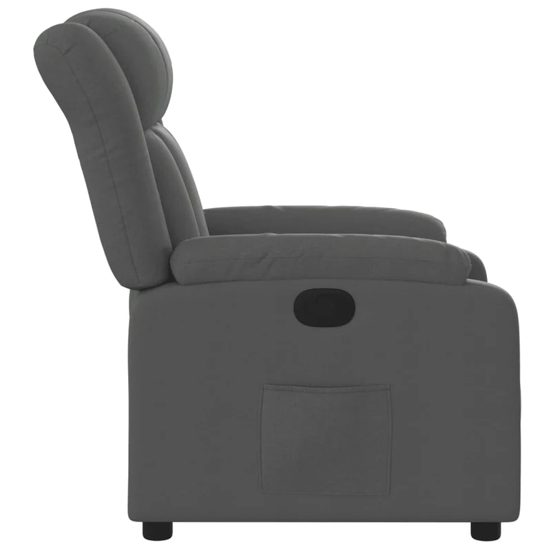 Fauteuil relax TV rembourrage confortable fonction d'inclinaison manuelle en tissu gris foncé DEC027937