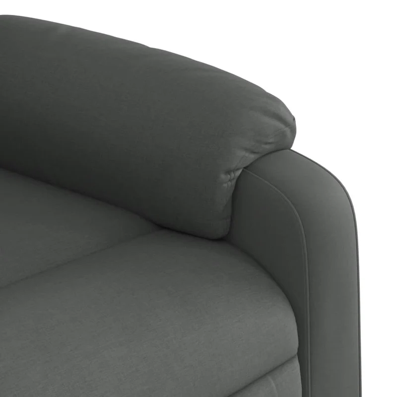 Fauteuil relax TV rembourrage confortable fonction d'inclinaison manuelle en tissu gris foncé DEC027937