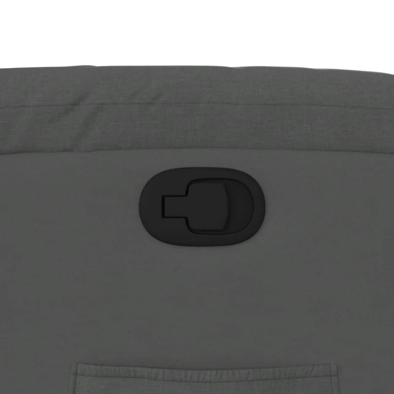 Fauteuil relax TV rembourrage confortable fonction d'inclinaison manuelle en tissu gris foncé DEC027937