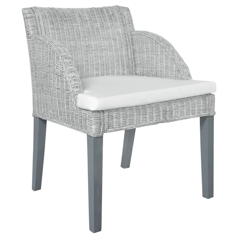 Lot de 2 chaises de salle à manger accoudoir ovale avec coussins crème et rotin naturel gris DEC025466