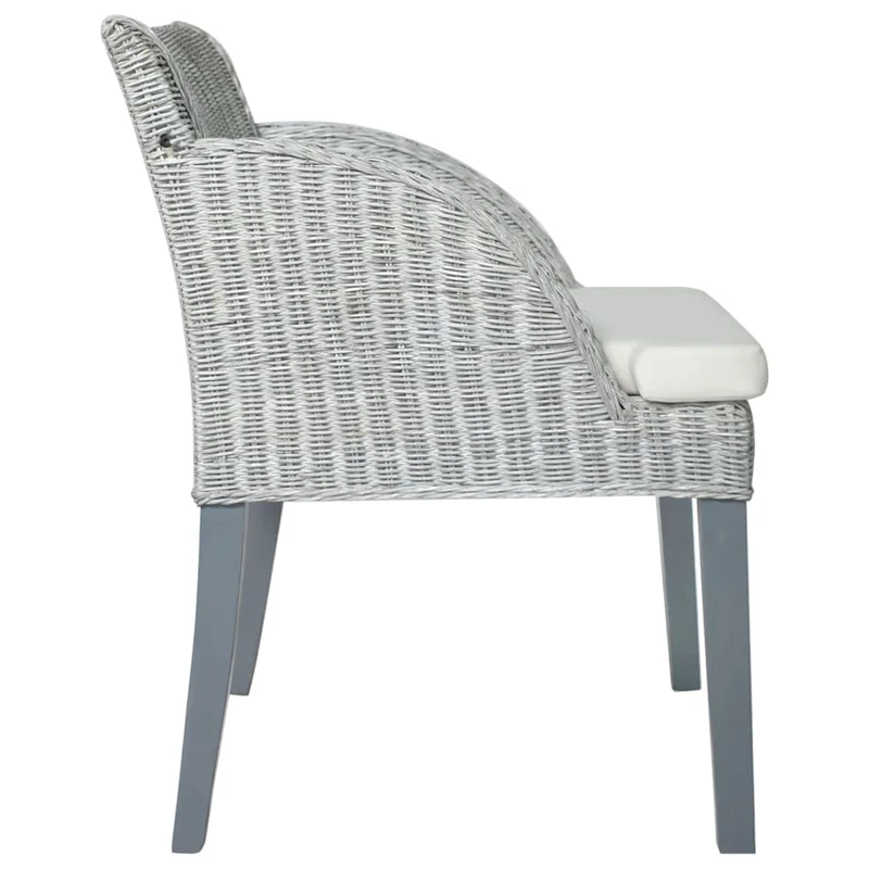 Lot de 2 chaises de salle à manger accoudoir ovale avec coussins crème et rotin naturel gris DEC025466