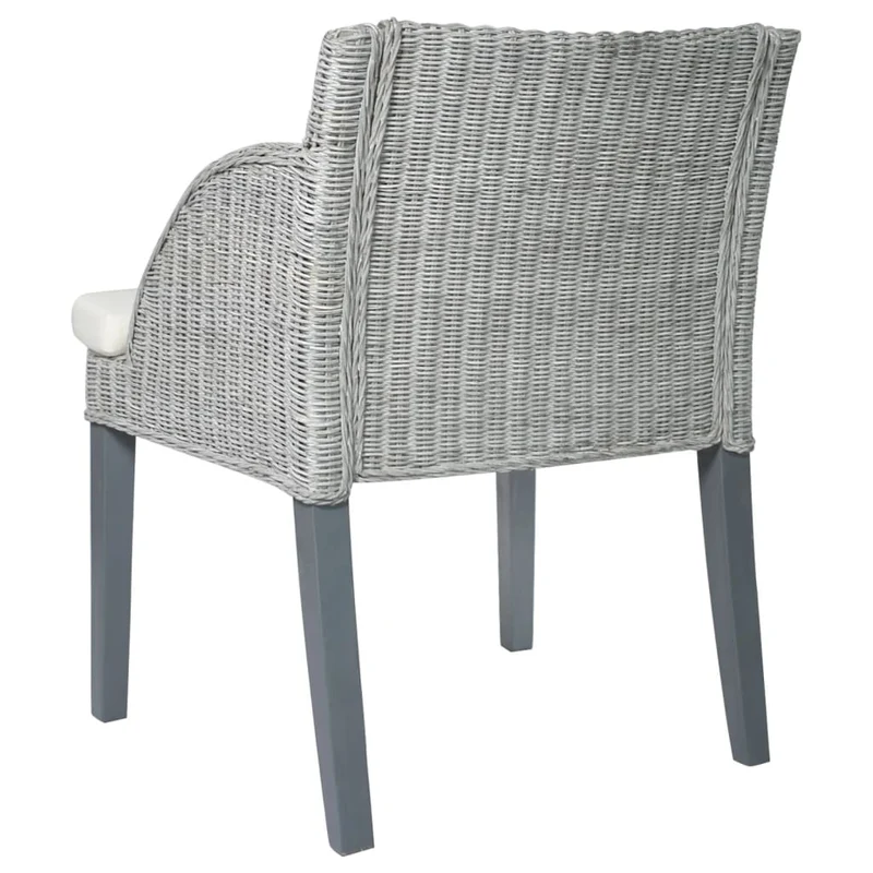Lot de 2 chaises de salle à manger accoudoir ovale avec coussins crème et rotin naturel gris DEC025466