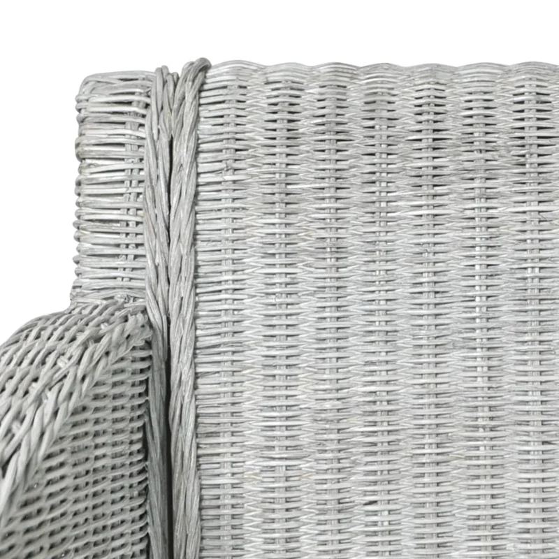 Lot de 2 chaises de salle à manger accoudoir ovale avec coussins crème et rotin naturel gris DEC025466