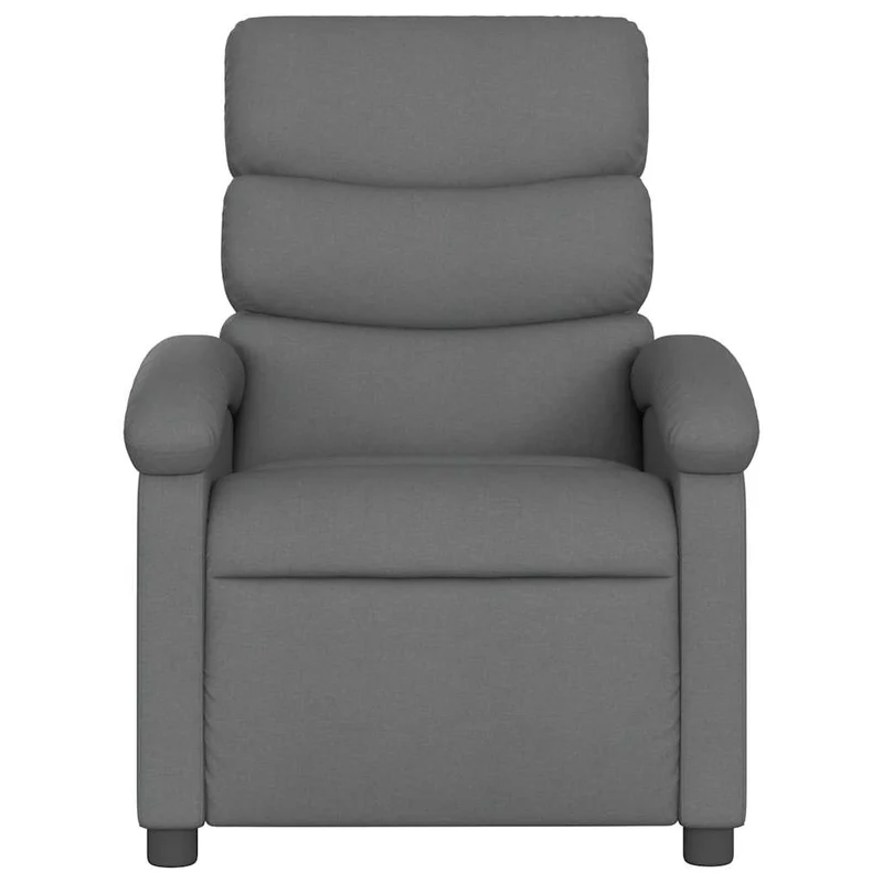 Fauteuil relax TV rembourrage confortable fonction d'inclinaison manuelle en tissu gris foncé DEC027953