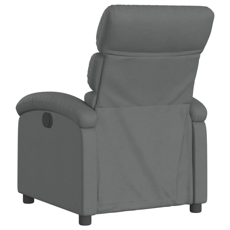 Fauteuil relax TV rembourrage confortable fonction d'inclinaison manuelle en tissu gris foncé DEC027953