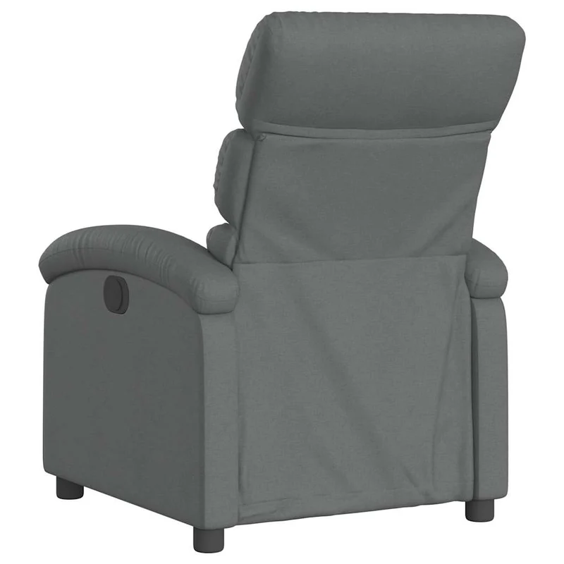 Fauteuil relax TV rembourrage confortable fonction d'inclinaison manuelle en tissu gris foncé DEC027953