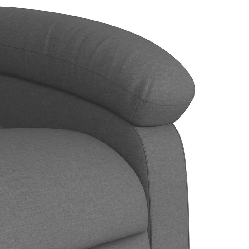 Fauteuil relax TV rembourrage confortable fonction d'inclinaison manuelle en tissu gris foncé DEC027953