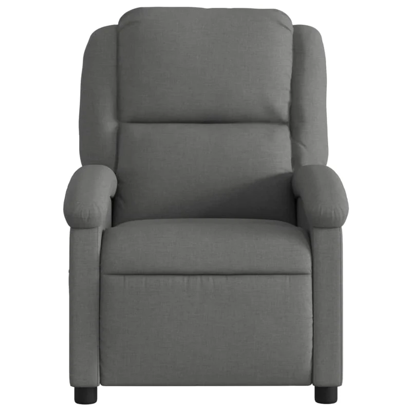 Fauteuil relax TV rembourrage confortable fonction d'inclinaison manuelle en tissu gris foncé DEC027929