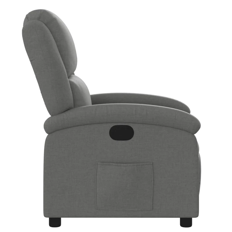 Fauteuil relax TV rembourrage confortable fonction d'inclinaison manuelle en tissu gris foncé DEC027929