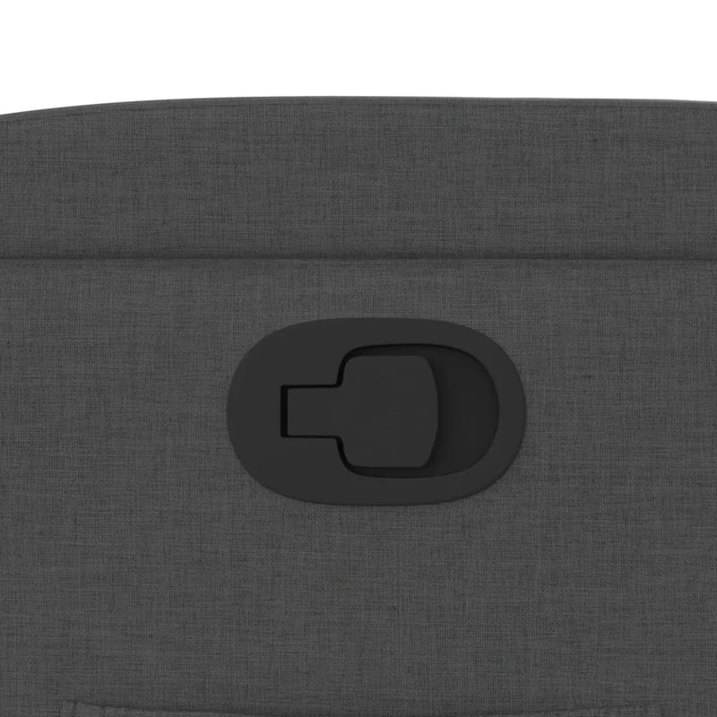 Fauteuil relax TV rembourrage confortable fonction d'inclinaison manuelle en tissu gris foncé DEC027941