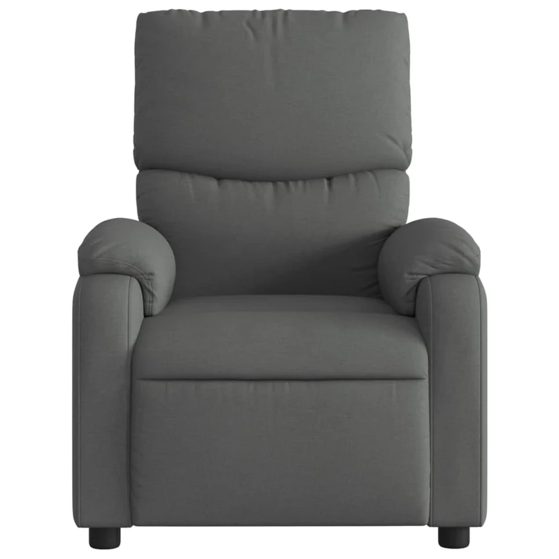 Fauteuil relax TV rembourrage confortable fonction d'inclinaison manuelle en tissu gris foncé DEC027930