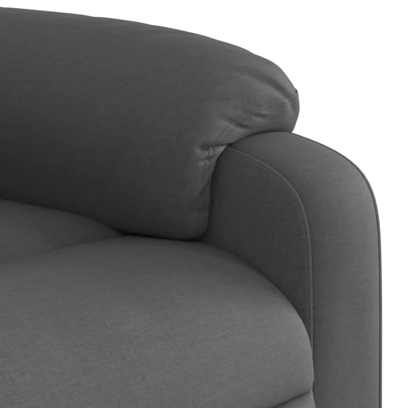 Fauteuil relax TV rembourrage confortable fonction d'inclinaison manuelle en tissu gris foncé DEC027930