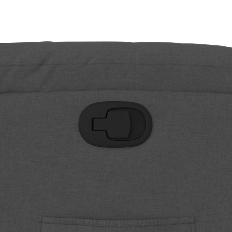 Fauteuil relax TV rembourrage confortable fonction d'inclinaison manuelle en tissu gris foncé DEC027930