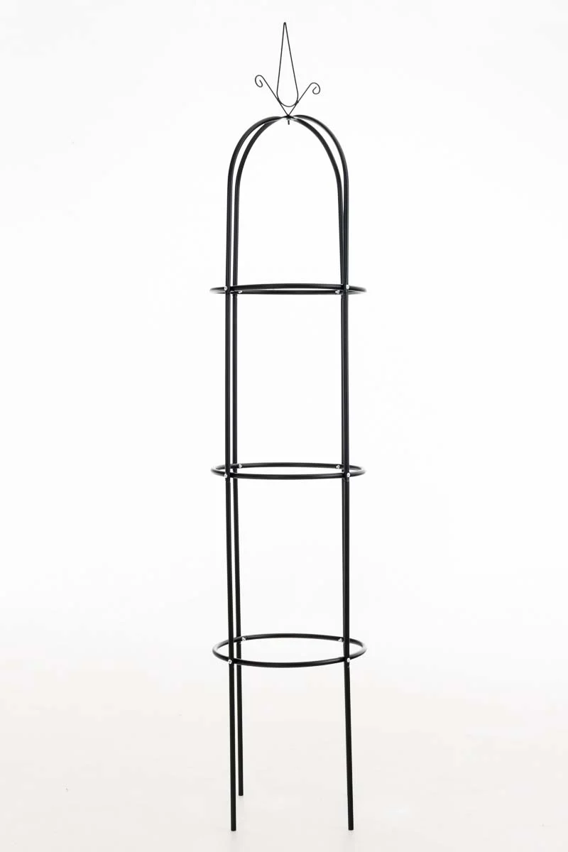 Tuteur de jardin support pour plantes grimpantes décoration de jardin 200x38 cm métal noir 10_0003960