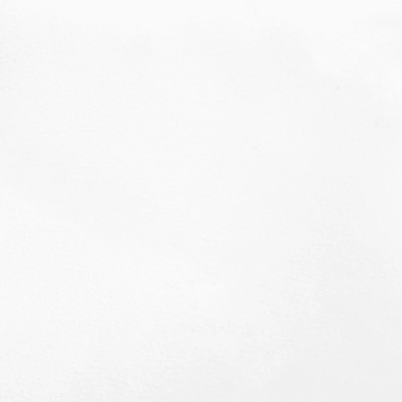 Sommier à lattes sur pieds cadre de lit 80x200 cm synthétique blanc TDL0207356