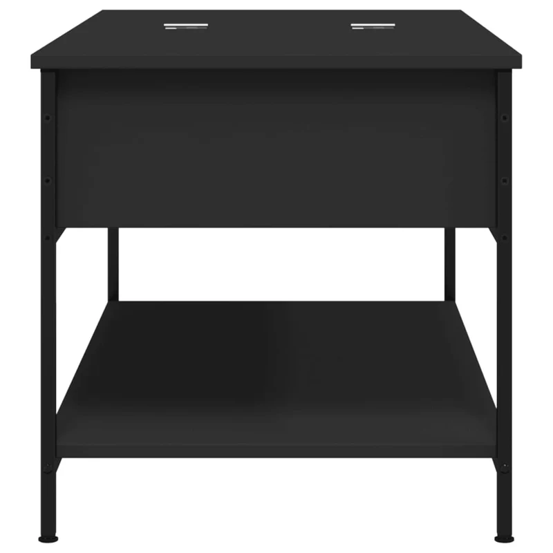 Table basse avec grand espace de rangement design moderne et contemporaine 100 x 50 x 50 cm bois d'ingénierie noir et métal DEC039566