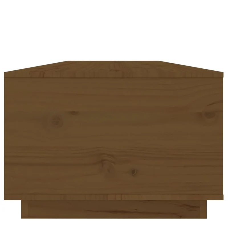 Table basse avec espace de rangement design moderne 100 x 50 x 35 cm bois massif de pin couleur marron miel DEC039459