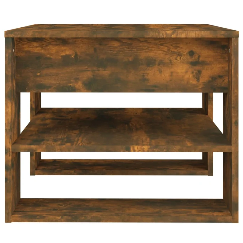 Table basse avec étagères design moderne et contemporaine 55,5 x 55 x 45 cm bois d'ingénierie marron DEC038426
