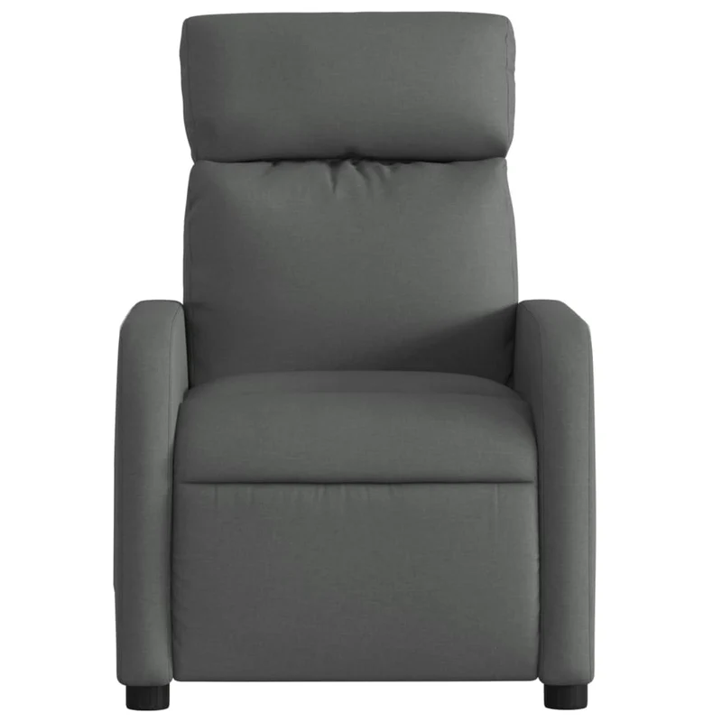 Fauteuil relax TV rembourrage confortable fonction d'inclinaison manuelle en tissu gris foncé DEC027944