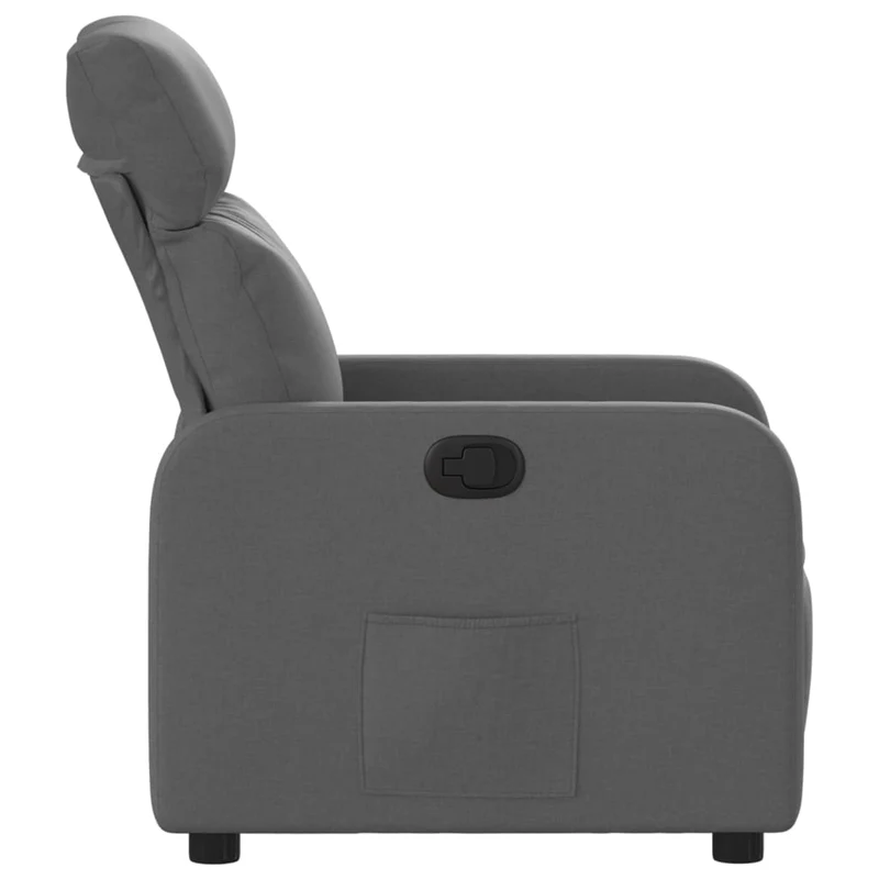 Fauteuil relax TV rembourrage confortable fonction d'inclinaison manuelle en tissu gris foncé DEC027944