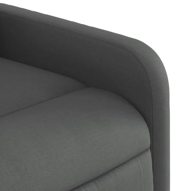 Fauteuil relax TV rembourrage confortable fonction d'inclinaison manuelle en tissu gris foncé DEC027944