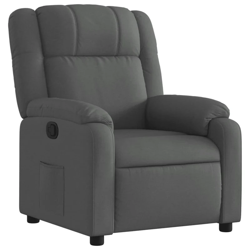 Fauteuil relax TV rembourrage confortable fonction d'inclinaison manuelle en tissu gris foncé DEC027931